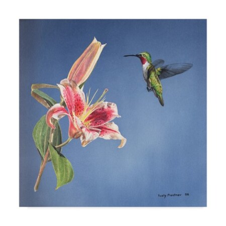 Trademark Fine Art Rusty Frentner 'Hummingbird And Lily' Canvas Art, 14x14 ALI33111-C1414GG